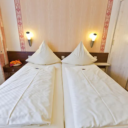 Hotel Allee Leidinger 3*